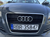 Audi A3 8P 1.6 - Świetny stan i ekonomiczny silnik Humniska - zdjęcie 3