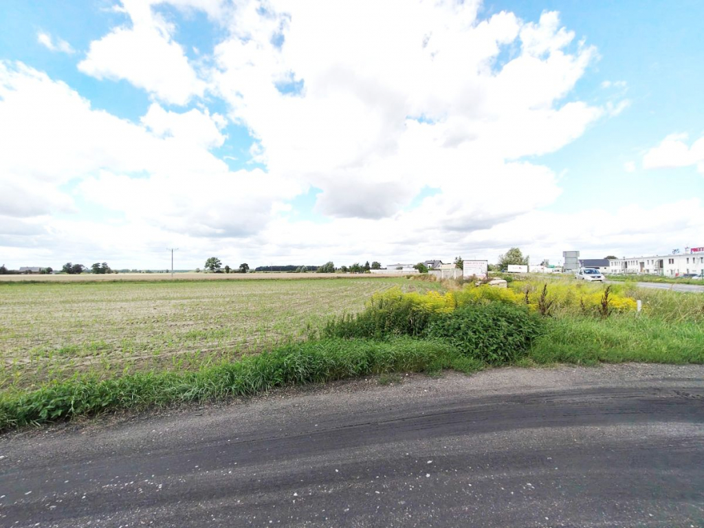 Działka pod osiedle, wielomieszkaniowa. Opalenica - zdjęcie 3