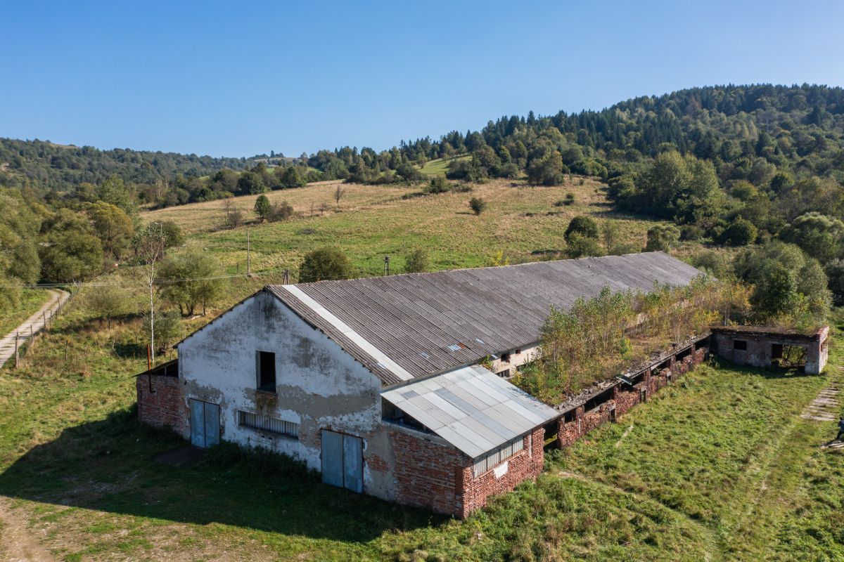 Potencjał inwestycyjny | Bieszczady | Magazyn | Krościenko - zdjęcie 2