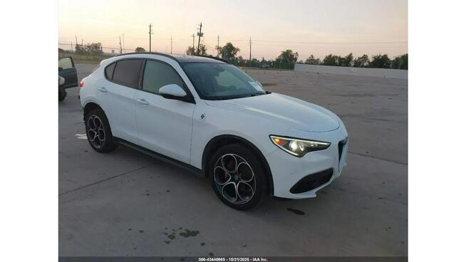 Alfa Romeo Stelvio / 2.0 280KM / 4x4 / niski przebieg / Tarnów - zdjęcie 2