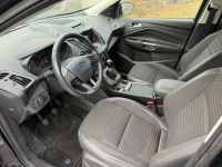 Kuga pierwsza ręka Opole - zdjęcie 7