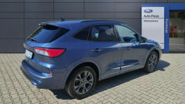 Ford Kuga ST-Line 1.5 EcoBoost 150 KM M6 MC86224 Warszawa - zdjęcie 5