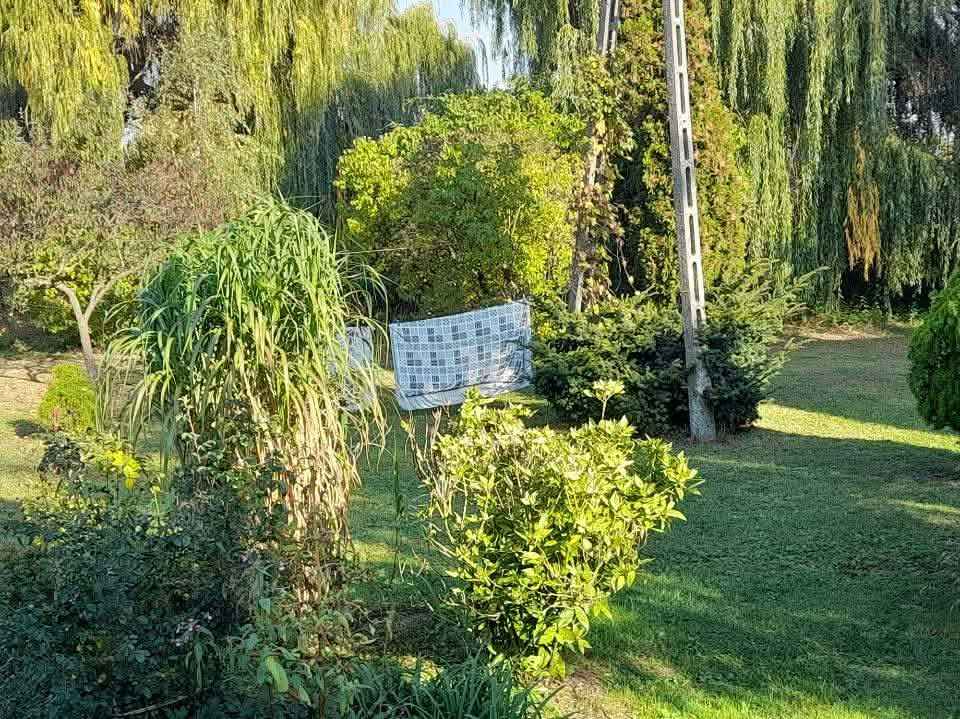 sprzedam siedlisko Nowa Obra - zdjęcie 8