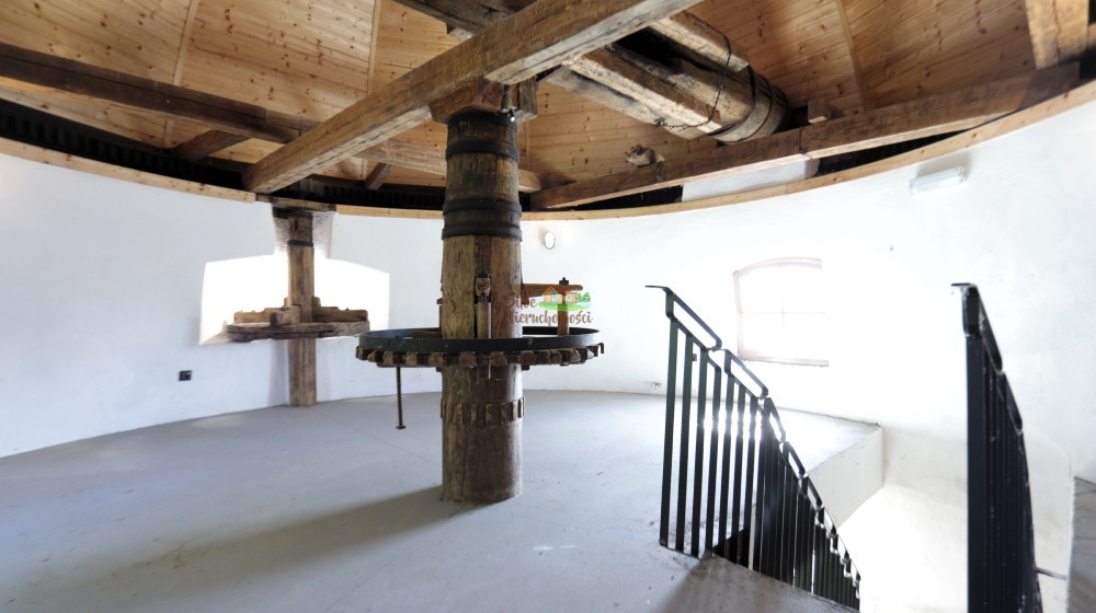 Wiatrak typu Holenderskiego pod restaurację airbnb Grodków - zdjęcie 12