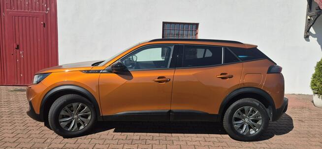 Peugeot 2008 KAMERA 360-LIFT-LED-METALIC Paproć - zdjęcie 5