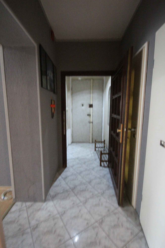 2pok, 50met, okolice Krętej ROZKŁAD/PIWNICA/PARKING (Wrocław) Śródmieście - zdjęcie 10