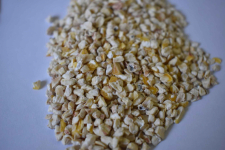 Sprzedam Kiełki kukurydziane