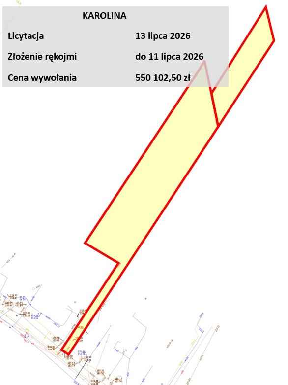 Budowlana i las, Mińsk Mazowiecki, licytacja Karolina - zdjęcie 4