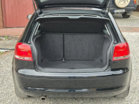 Audi A3 2008, 1.6B 102KM, Bardzo Zadbany, Z Niemiec-Zarejestrowany Radom - zdjęcie 7