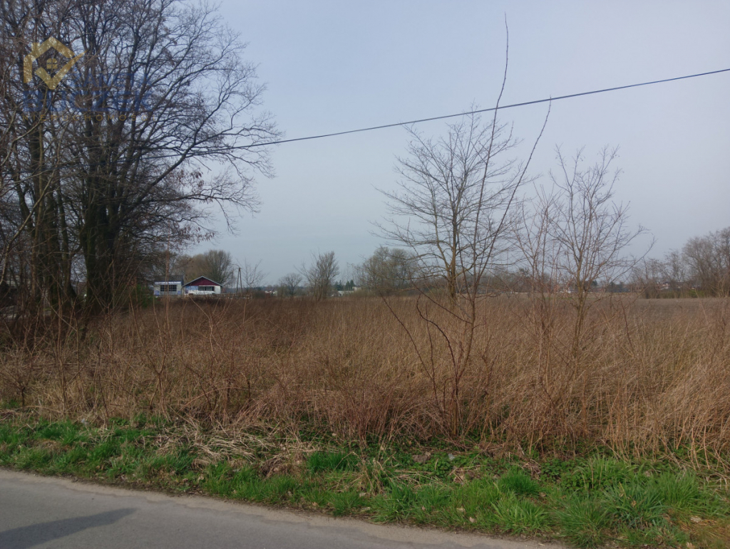 Działka pod obiekt produkcyjny Nieborów - zdjęcie 3