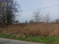 Działka pod obiekt produkcyjny Nieborów - zdjęcie 3