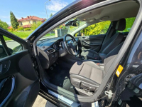 Ładna Astra Marcinowice - zdjęcie 8