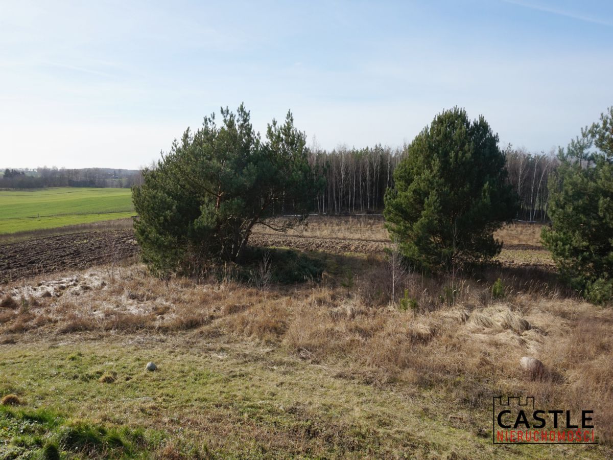 Działka z widokiem na jezioro! Sieraków - zdjęcie 6