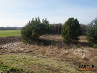 Działka z widokiem na jezioro! Sieraków - zdjęcie 6