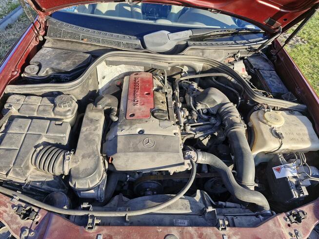 Mercedes CLK Tuczępy - zdjęcie 10