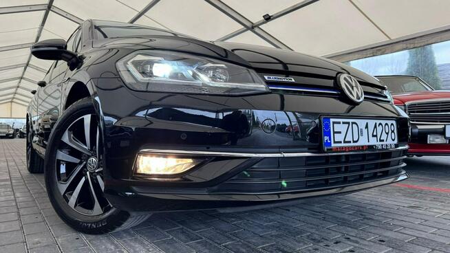 Volkswagen Golf Zduńska Wola - zdjęcie 10