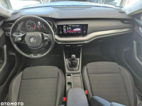 Škoda Octavia Kraków - zdjęcie 12