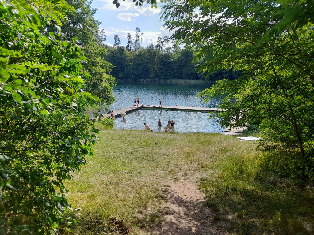 Działka rolno-budowlana koło Szczytna Nowe Kiejkuty - zdjęcie 2