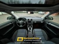 Audi A3 Telefon: 733_916_297 Lokalizacja: Leszno Leszno - zdjęcie 5