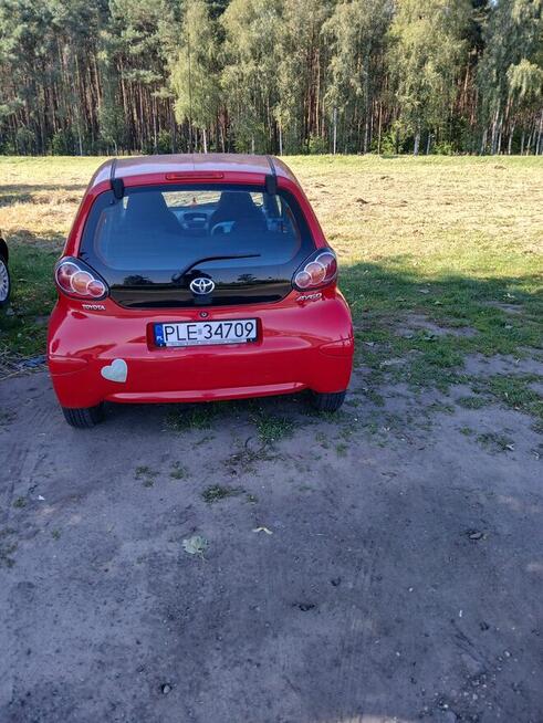 Sprzedam Kłoda - zdjęcie 6