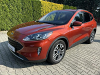 Ford Escape 2.0 EcoBoost 250 KM AWD automat Tarnów - zdjęcie 2