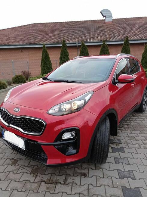 Kia Sportage Diesel, automat Buk - zdjęcie 2