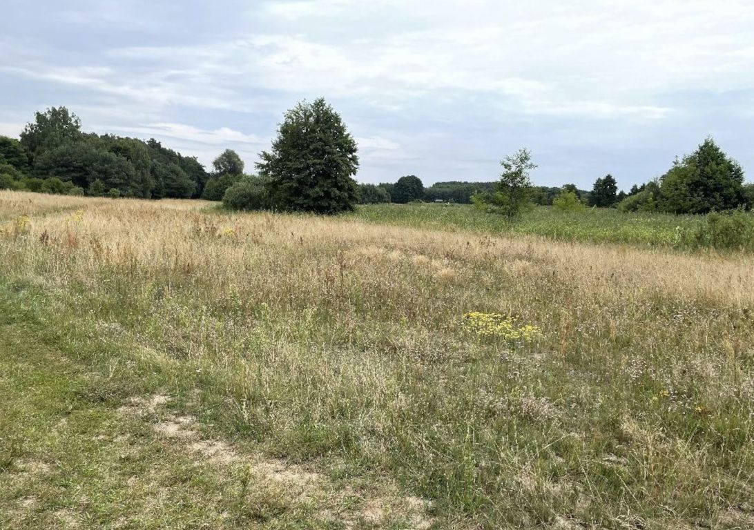 Starczanowo - Nekla działka na sprzedaż. Starczanowo - zdjęcie 1