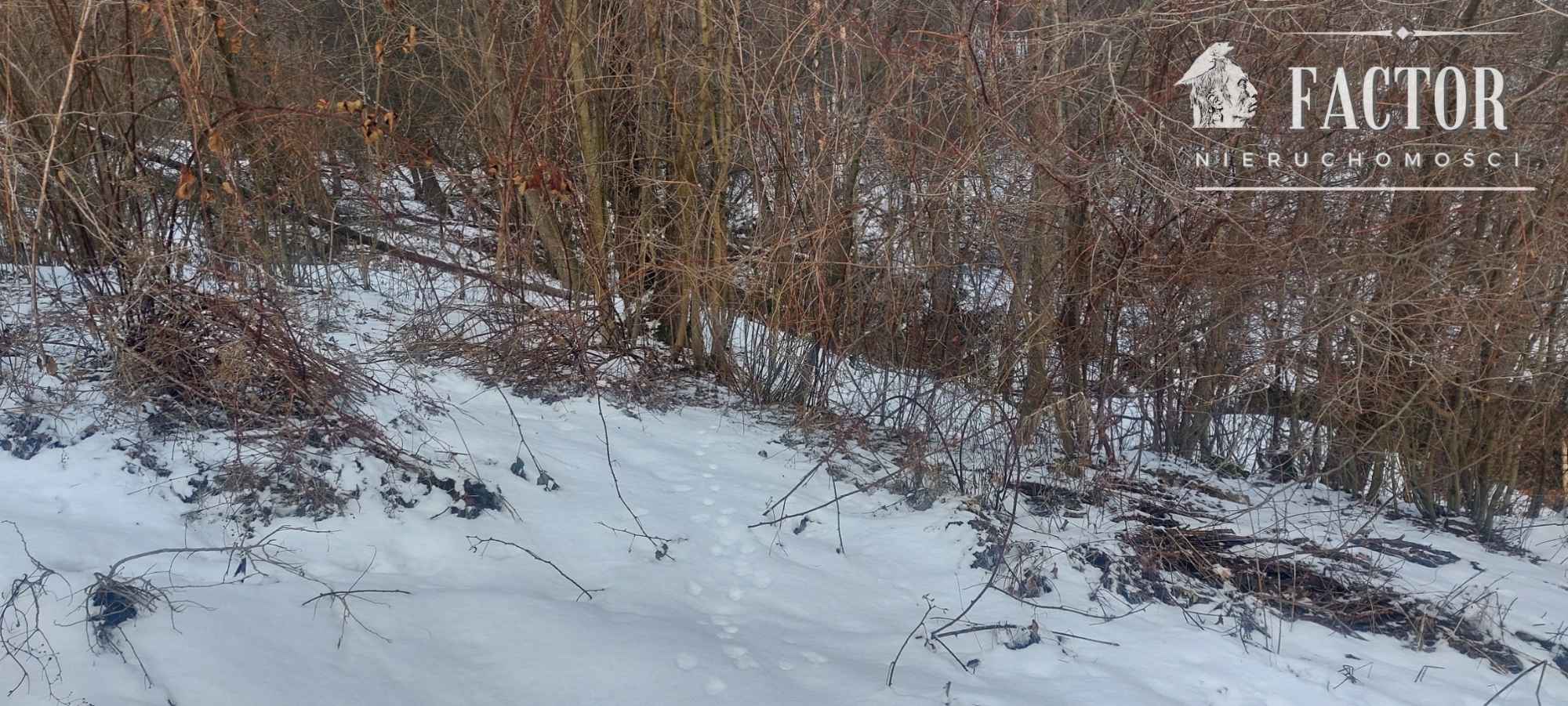 Siary działka budowlano-leśna 21a 1168S/2026 Siary - zdjęcie 2