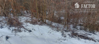 Siary działka budowlano-leśna 21a 1168S/2026 Siary - zdjęcie 2