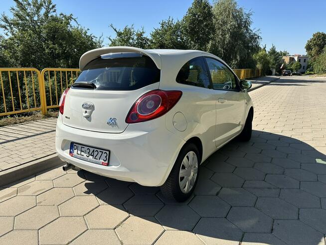 Ford KA 1.3TDCi 75KM Climtronic Niski przebieg Gostyń - zdjęcie 6