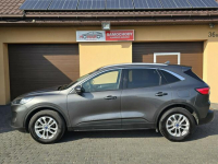 Ford Kuga III TITANIUM 1.5 EcoBoost 150KM Salon Polska Włocławek - zdjęcie 3