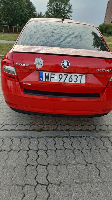 sprzedam skode octavie salon polska serwisowana w ASO Bydgoszcz - zdjęcie 3