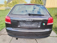 Audi A3 8p LZ7L 1,6mpi Chęciny - zdjęcie 6