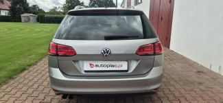 Volkswagen Golf Paproć - zdjęcie 6