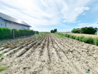 DZIAŁKA BUDOWLANA POD ZABUDOWĘ JEDNORODZINNĄ