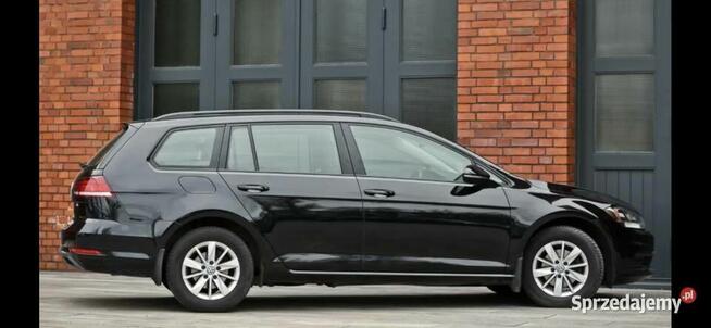 Volkswagen Golf VII 1.0 TSI Alu Klima Tempomat Grzane fotele Gorzów Wielkopolski - zdjęcie 12