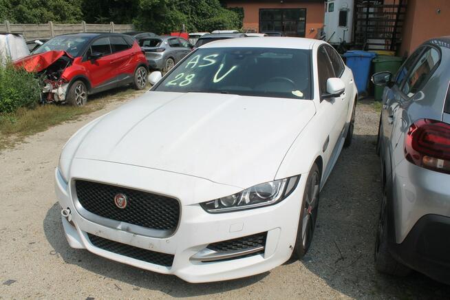 Jaguar XE Ostrów Wielkopolski - zdjęcie 2