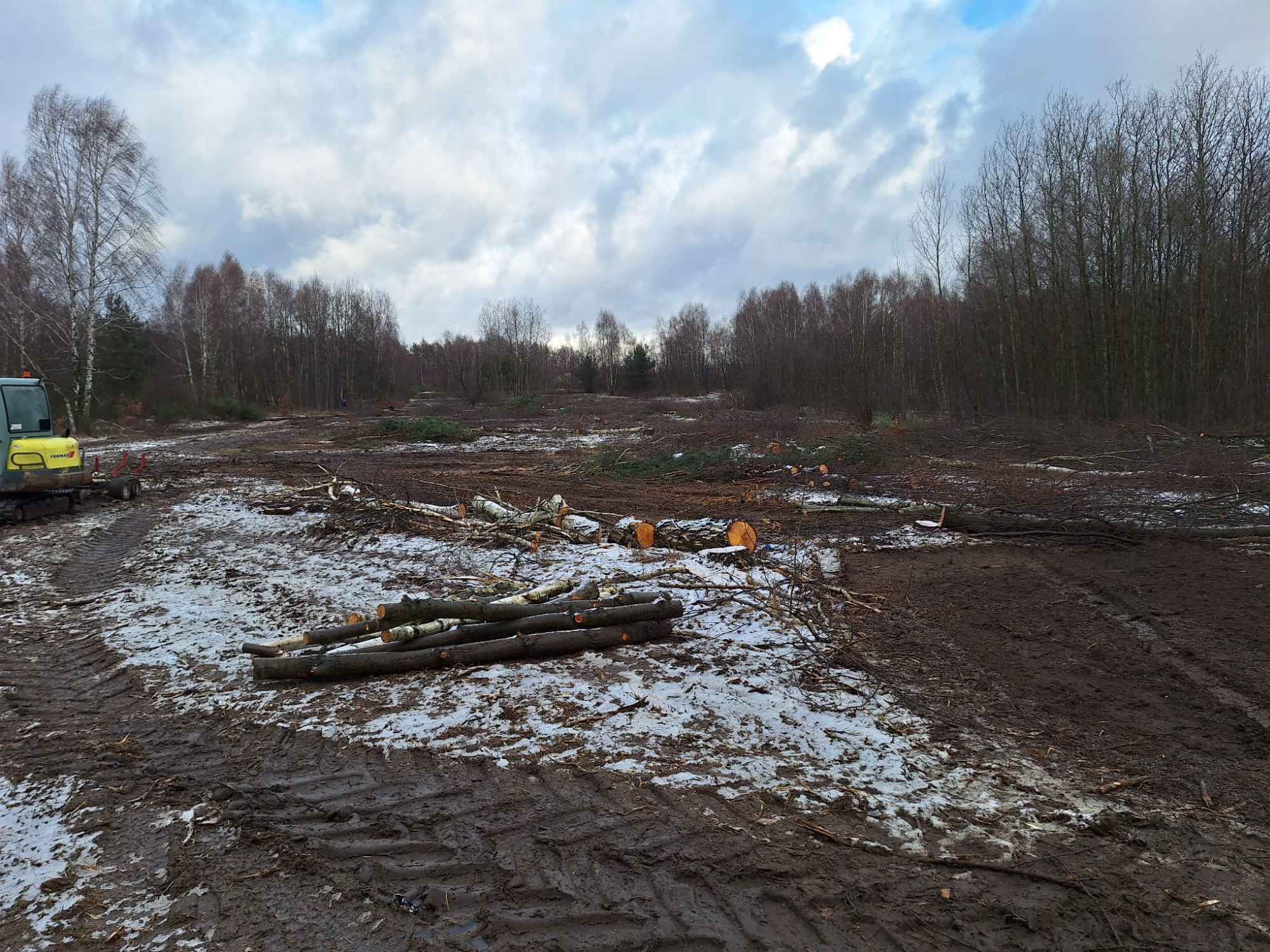 Wycinka drzew Czyszczenie terenu Mulczowanie Karczowanie Frezowanie Wanaty - zdjęcie 2