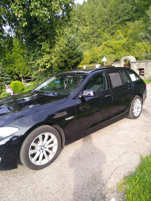 Sprzedam Pilica - zdjęcie 7