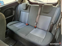 Ford Fiesta VII 95KM Dobry stan! Oszczędne! Możliwa zamiana! Bydgoszcz - zdjęcie 9