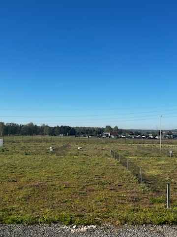 Dzierżawa działek pod domki nad jeziorem Pławniowice Niewiesze - zdjęcie 5
