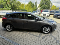 Ford Focus 1,5 150KM  Rej.01/2016  Klimatronik Orzech - zdjęcie 5
