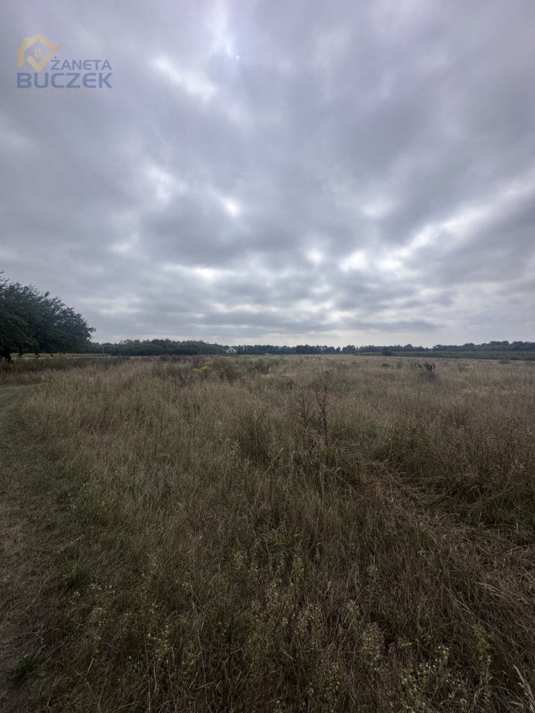 Działka rolna z budynkami - Pasikonie gm.Kampinos Pasikonie - zdjęcie 3