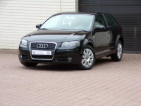 Audi A3 Lift / Klimatronic /1,6 /115KM /2006r Mikołów - zdjęcie 7