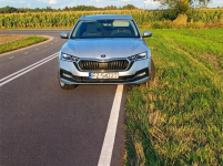 Skoda Octavia 1.4 hybryda plug-in 204 km salon PL FV Słupca - zdjęcie 7