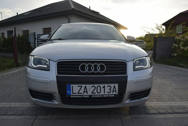 Audi A3 1.6MPI Klimatronik Led 2 Kpl Opon Tarnogród - zdjęcie 5