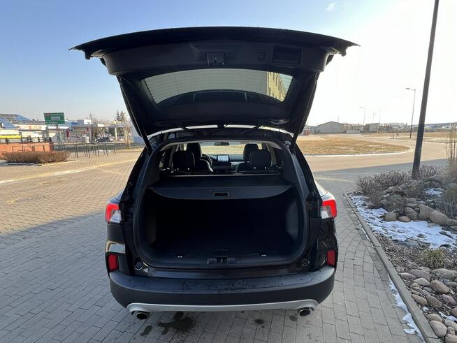 Ford Kuga Sport Hybrid 2.5L iVCT Atkinson AWD Sokołów Podlaski - zdjęcie 11