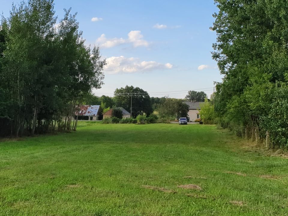 Działka rolno-budowlana w Dąbrówce Kościelnej Dąbrówka Kościelna - zdjęcie 5