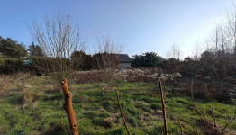 Działka na sprzedaż Strykowo Strykowo - zdjęcie 6