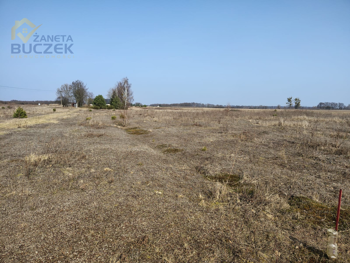 Sprzedam działki rolne o pow. 4029 w Skarbikowie Skarbikowo - zdjęcie 4